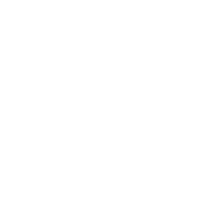 Organic leaves symbol - natural and sustainable agriculture certification mark